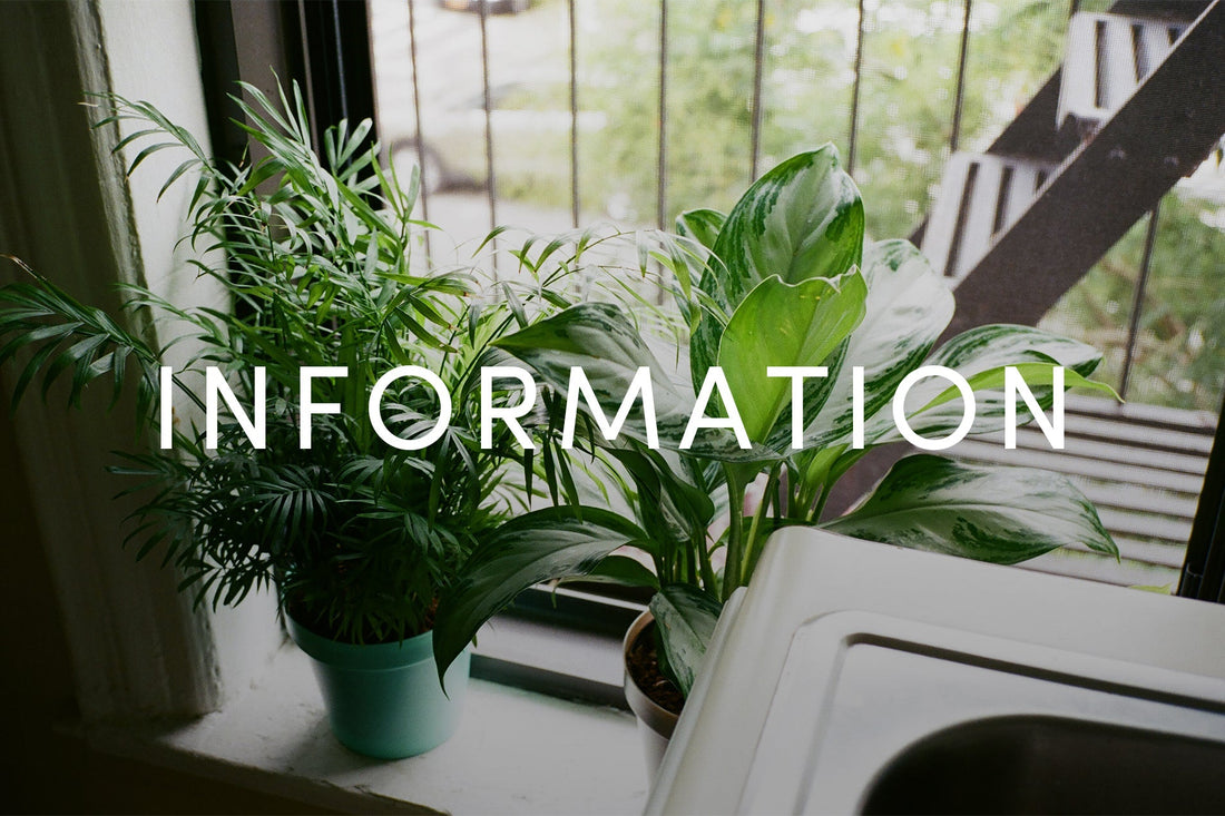 2025年冬季休業（年末年始）期間中の営業について